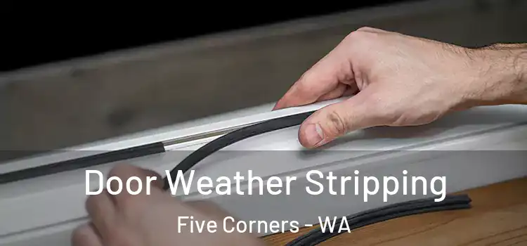  Door Weather Stripping Five Corners - WA