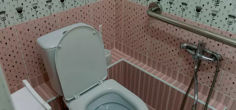 Meeting Diverse Needs With Accessible Restroom Solutions in Five Corners, WA